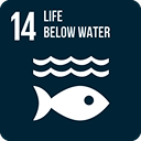 SDG 1